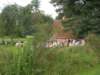 c1fotos079kopie_small.jpg
